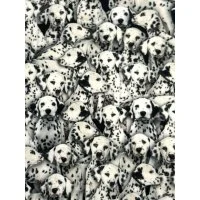Zertifiziert Canvas Digitaldruck Baumwollstoff Dekostoff Hund Dalmatiner